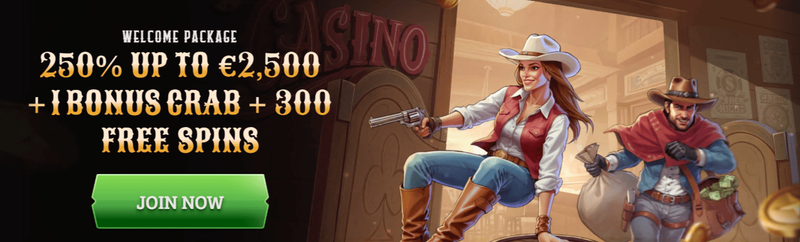 Wildsino Casino Willkommensbonus 2025 – 250 % bis 2.500 € und 300 Freispiele für neue Spieler